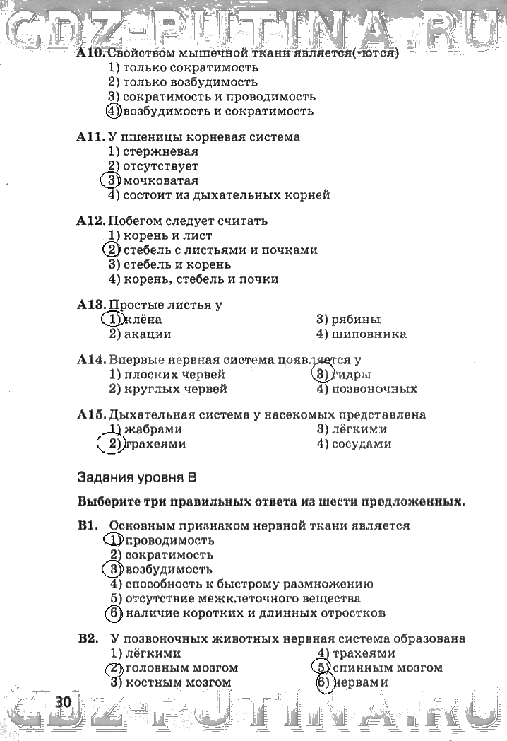 Тест по биологии строение растительной и животной клеток 6 класс с ответами