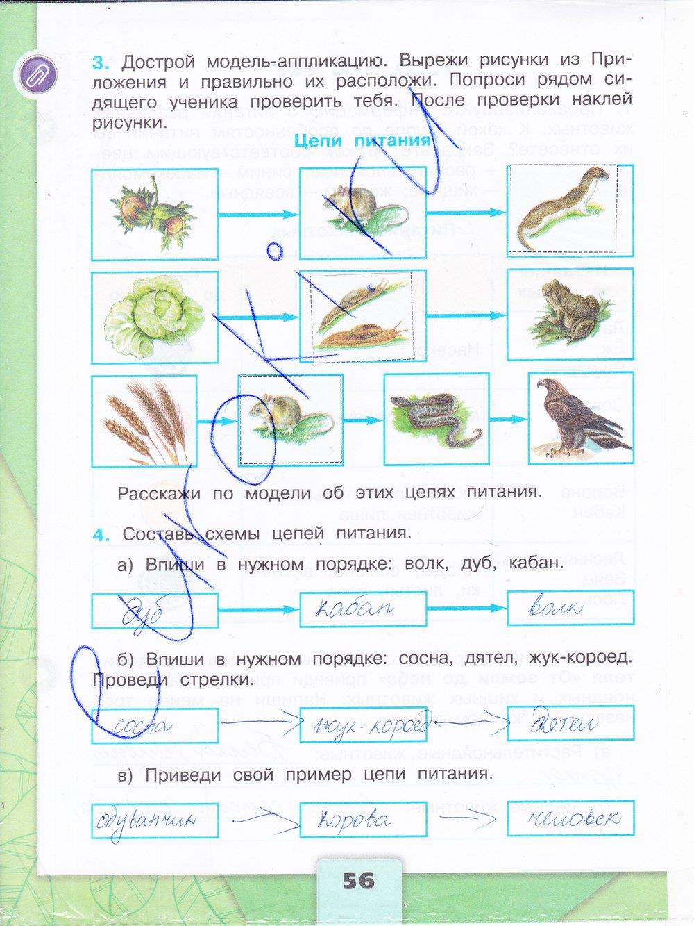 Гдз по окружающему миру 4 класс плешаков новицкая. ответ на страница номер 93 подумаем (часть 1. страницы)