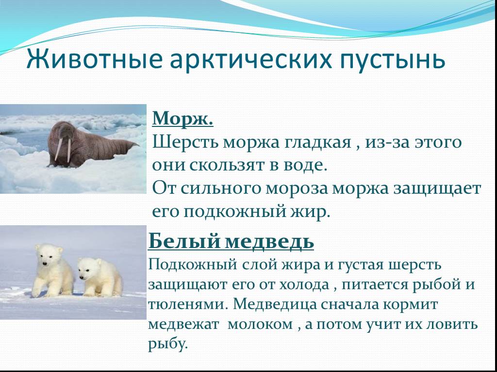 Страница номер 58 (часть 1, страницы) - гдз по окружающему миру 4 класс плешаков новицкая решебник