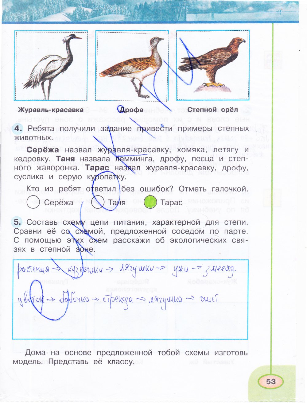 Решебник к учебному пособию: окружающий мир 4 класс плешаков, новицкая - рабочая тетрадь