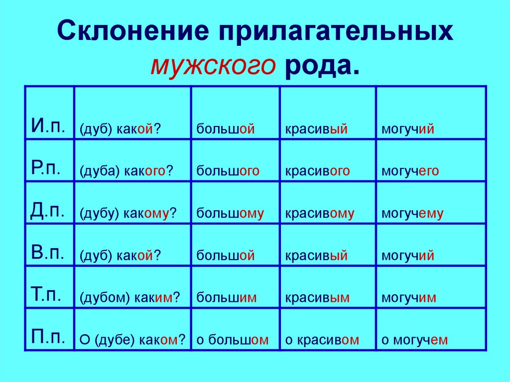Склонение имён прилагательных мужского и среднего рода в единственном числе