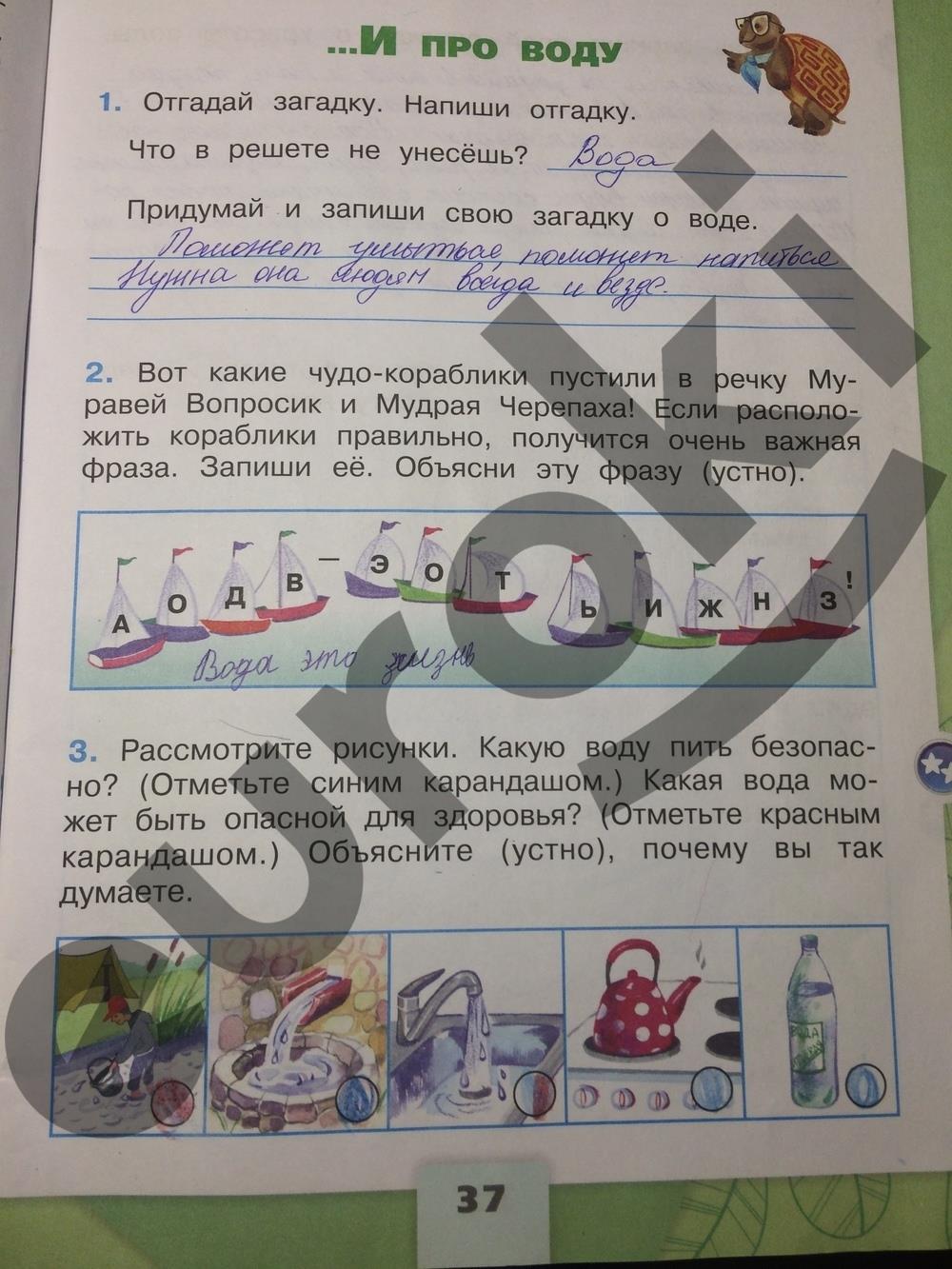 Тундра стр. 84 - 94. окружающий мир 4 класс 1 часть