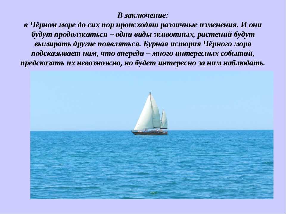 Цепь питания обитателей черного моря