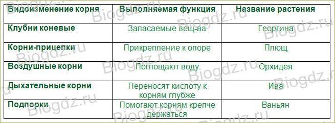 Гдз по биологии за 5‐6 класс  пасечник, суматохин