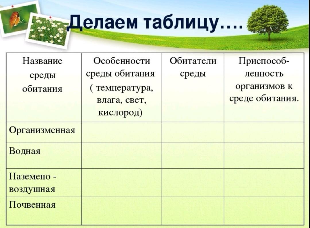 Гдз решебник по биологии 5-6 класс пасечник, суматохин, калинова, гапонюк учебник просвещение