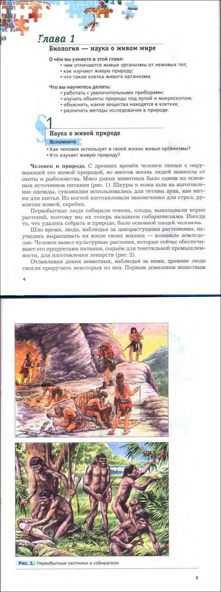 Гдз по биологии 5 класс рабочая тетрадь пасечник