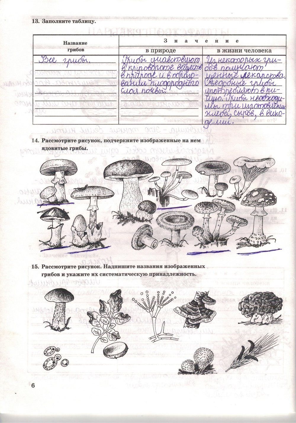 Гдз по биологии 5 класс пасечник в. в.
