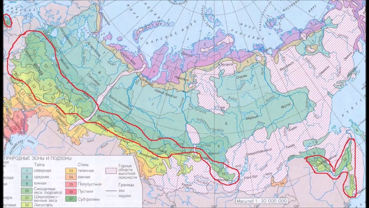 Гдз решебник по окружающему миру 4 класс плешаков, крючкова учебник просвещение