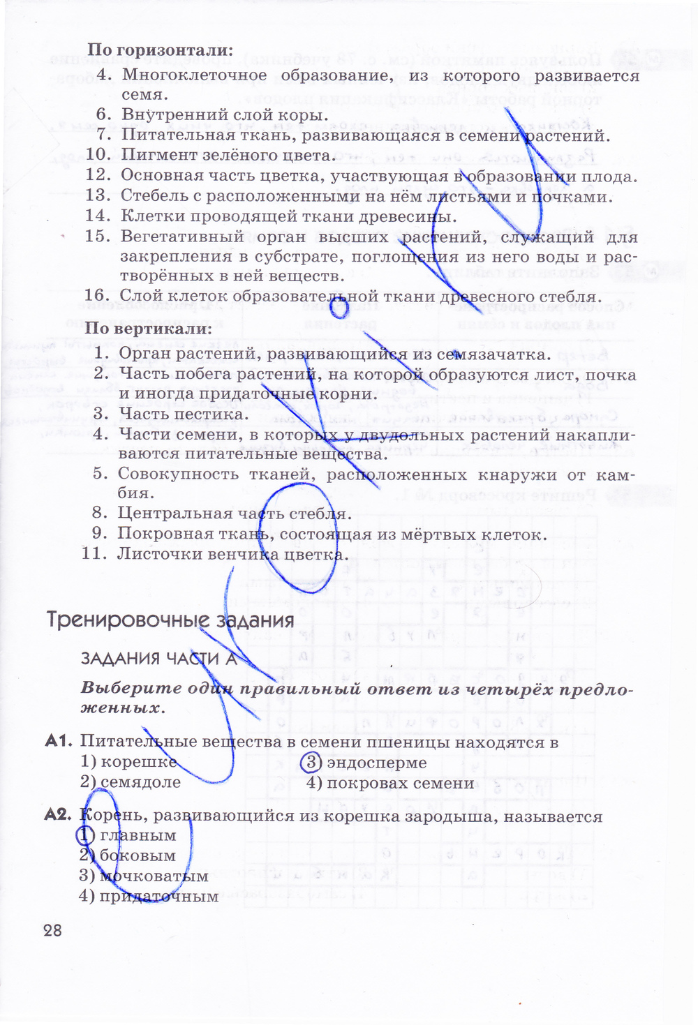 Биология 5-6 пасечник учебник §46-49 | частная школа. 6 класс