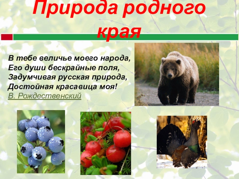 Гдз рф - готовые ответы по окружающему миру для 4 класса  а.а. плешаков, е.а. крючкова школа россии  просвещение