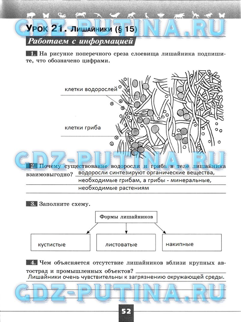 Гдз по биологии 5 класс пасечник в. в.
