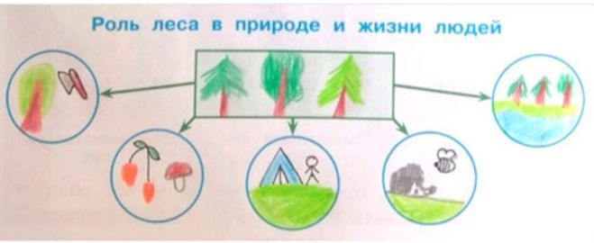 Гдз обсудим! (страница 79) окружающий мир учебник 4 класс часть 1, плешаков (школа россии)