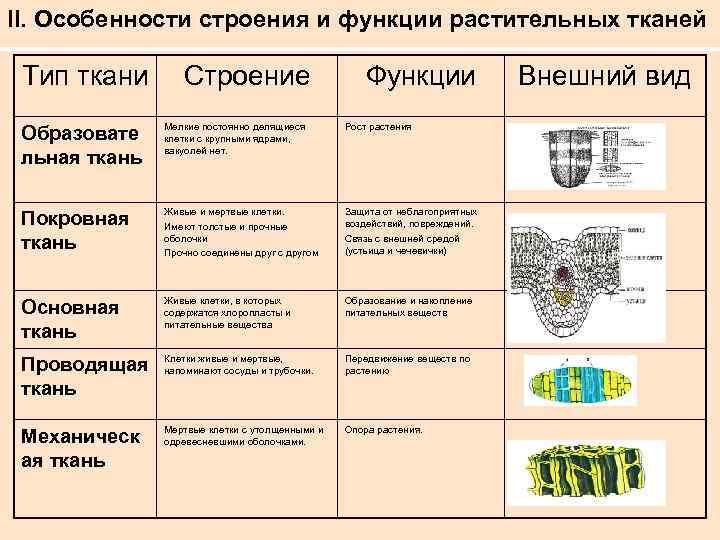Гдз решебник рабочая тетрадь биология 5 класс пасечник