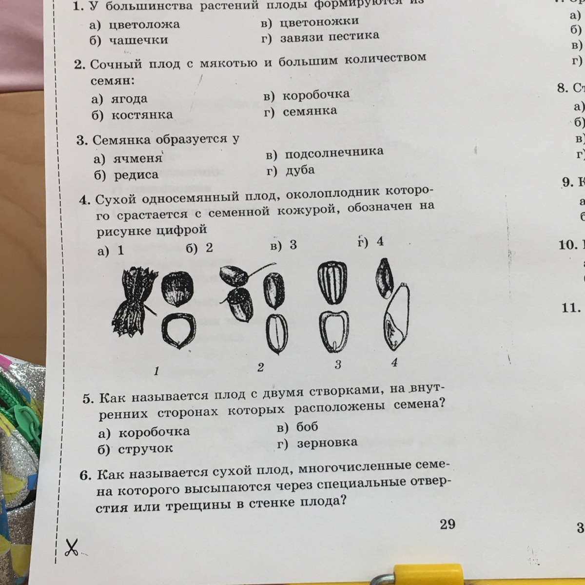 Тесты и тренажеры по предмету "биология 7 класс" | контроль знаний