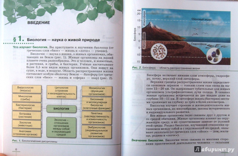 Гдз по биологии 5 класс: пасечник в. в.