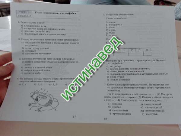 Ответы к §17 строение и жизнедеятельность бактерий. гдз биология учебник 7 класс пасечник - страница 18
