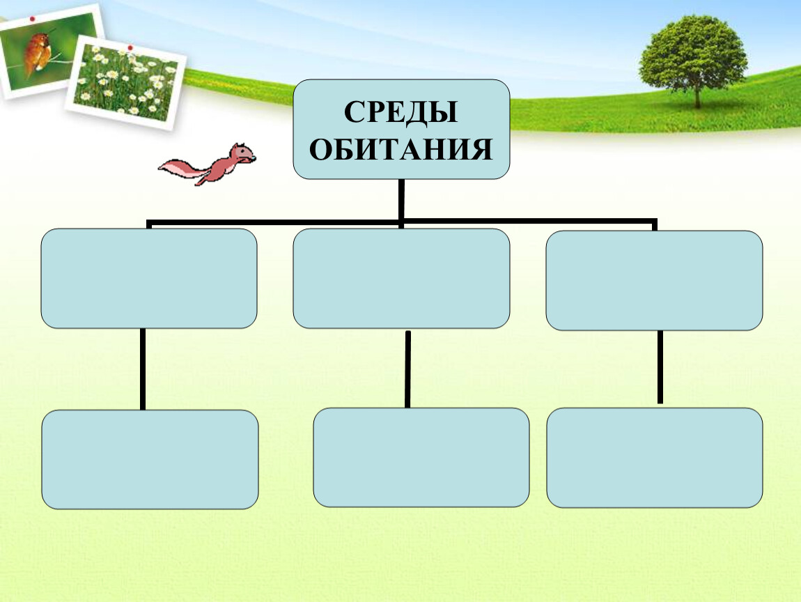 § 4. среды обитания организмов