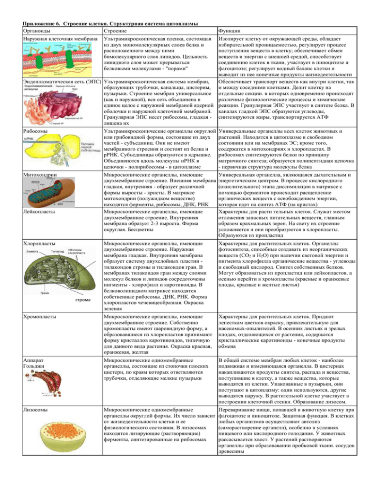 Гдз решебник биология 5 класс тесты сфера жизни «дрофа» сонин, плешаков.