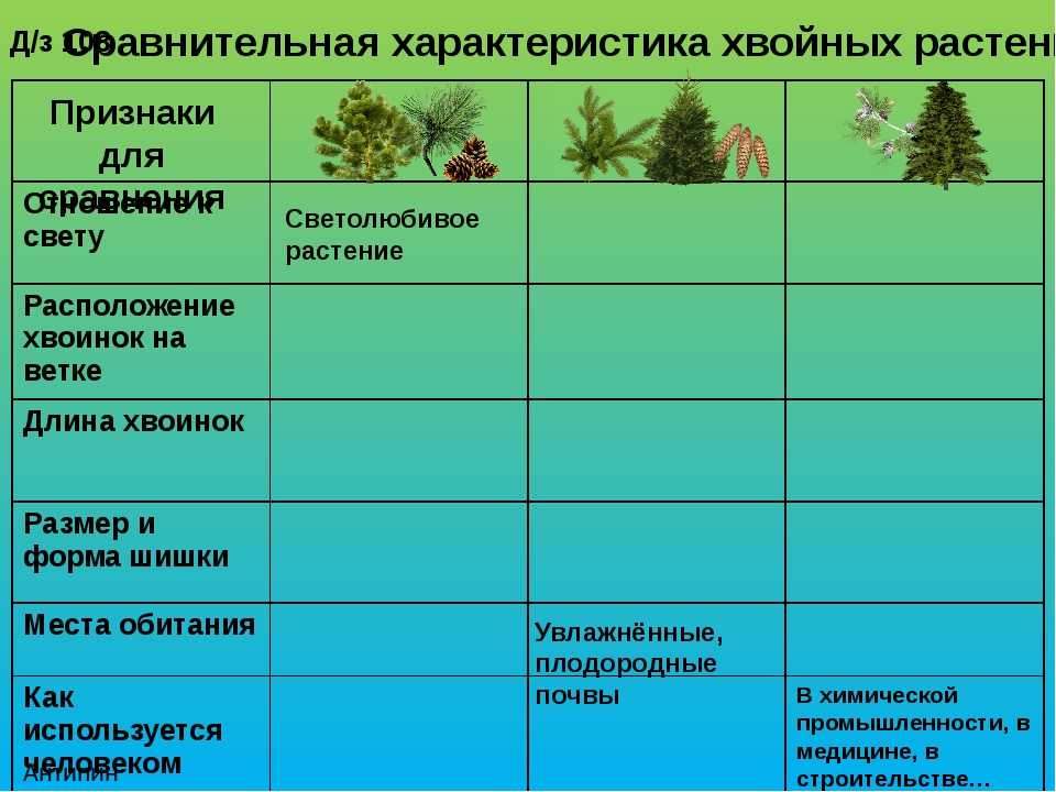 Гдз учебник по биологии 5-6 класс пасечник линия жизни