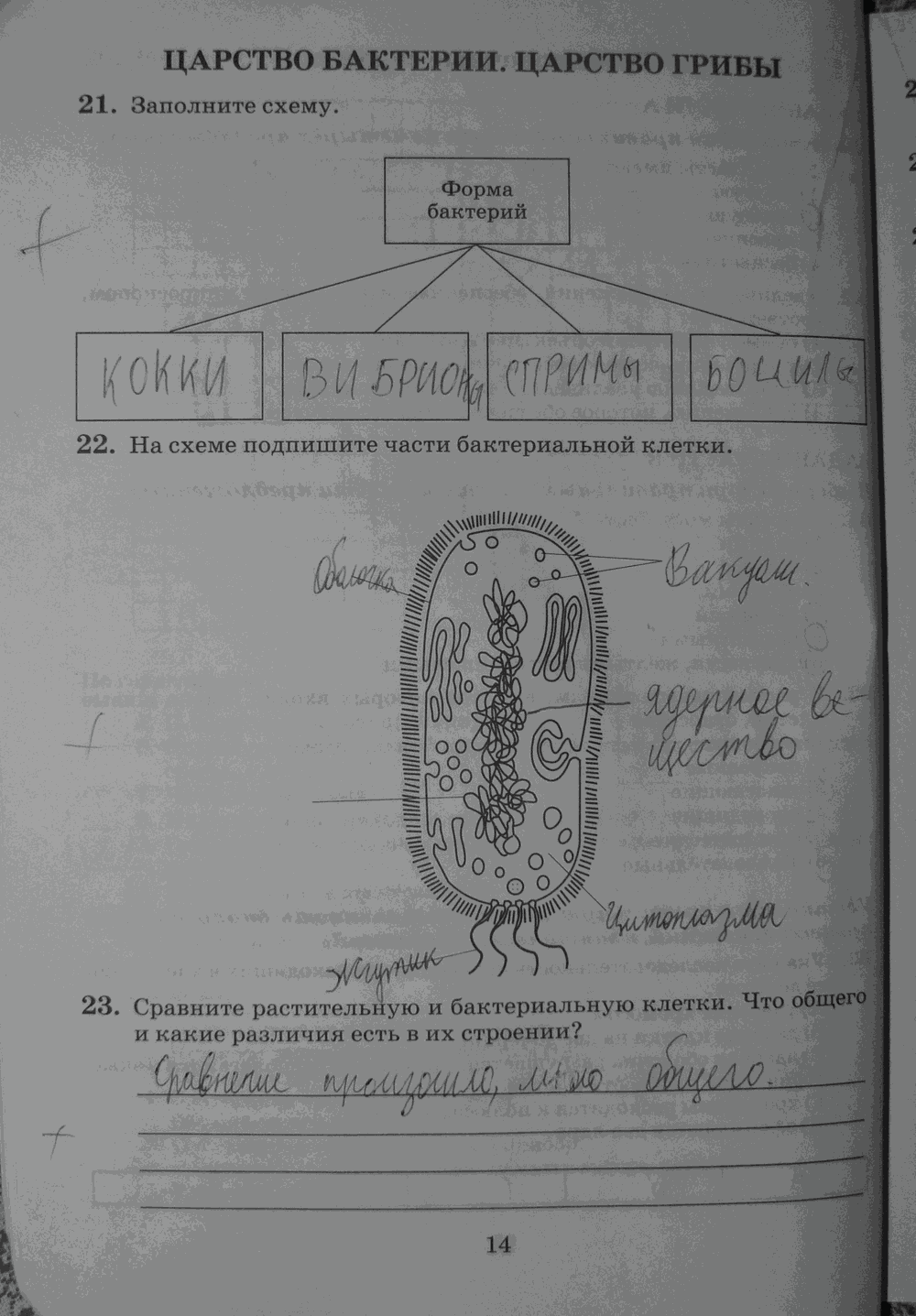 Гдз по биологии 5 класс пасечник, рабочая тетрадь просвещение 2023