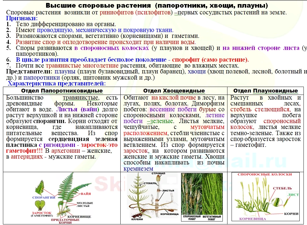 Гдз решебник рабочая тетрадь биология 5 класс линия жизни пасечник