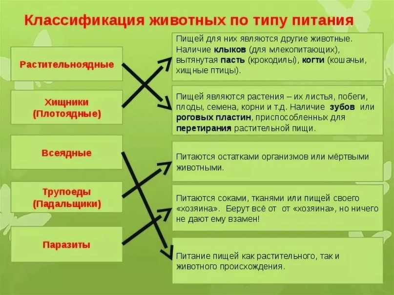 Гдз по биологии за 5‐6 класс  пасечник, суматохин