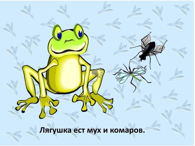 Гдз решебник по окружающему миру 4 класс плешаков, крючкова учебник просвещение
