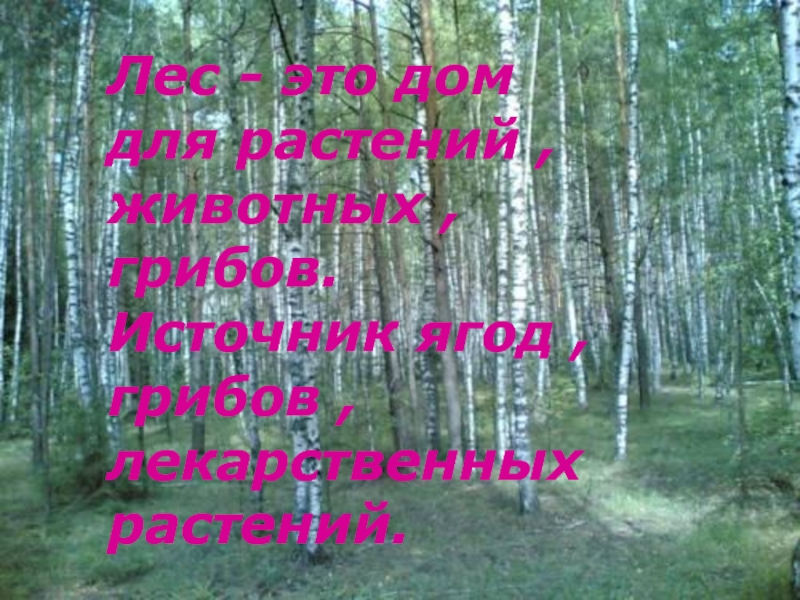 Окружающий мир 4 класс плешаков рабочая тетрадь 1 часть — страницы 47, 48, 49, 50