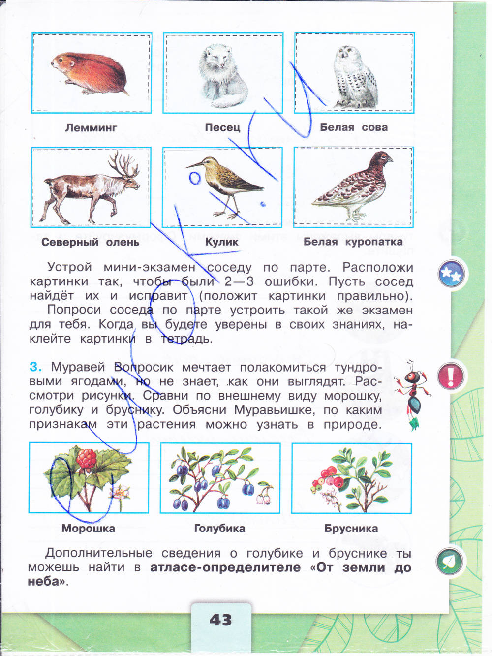 Решебник к учебному пособию: окружающий мир 4 класс плешаков, крючкова - учебник