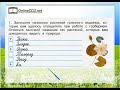 Решебник к учебному пособию: окружающий мир 4 класс плешаков, крючкова - учебник