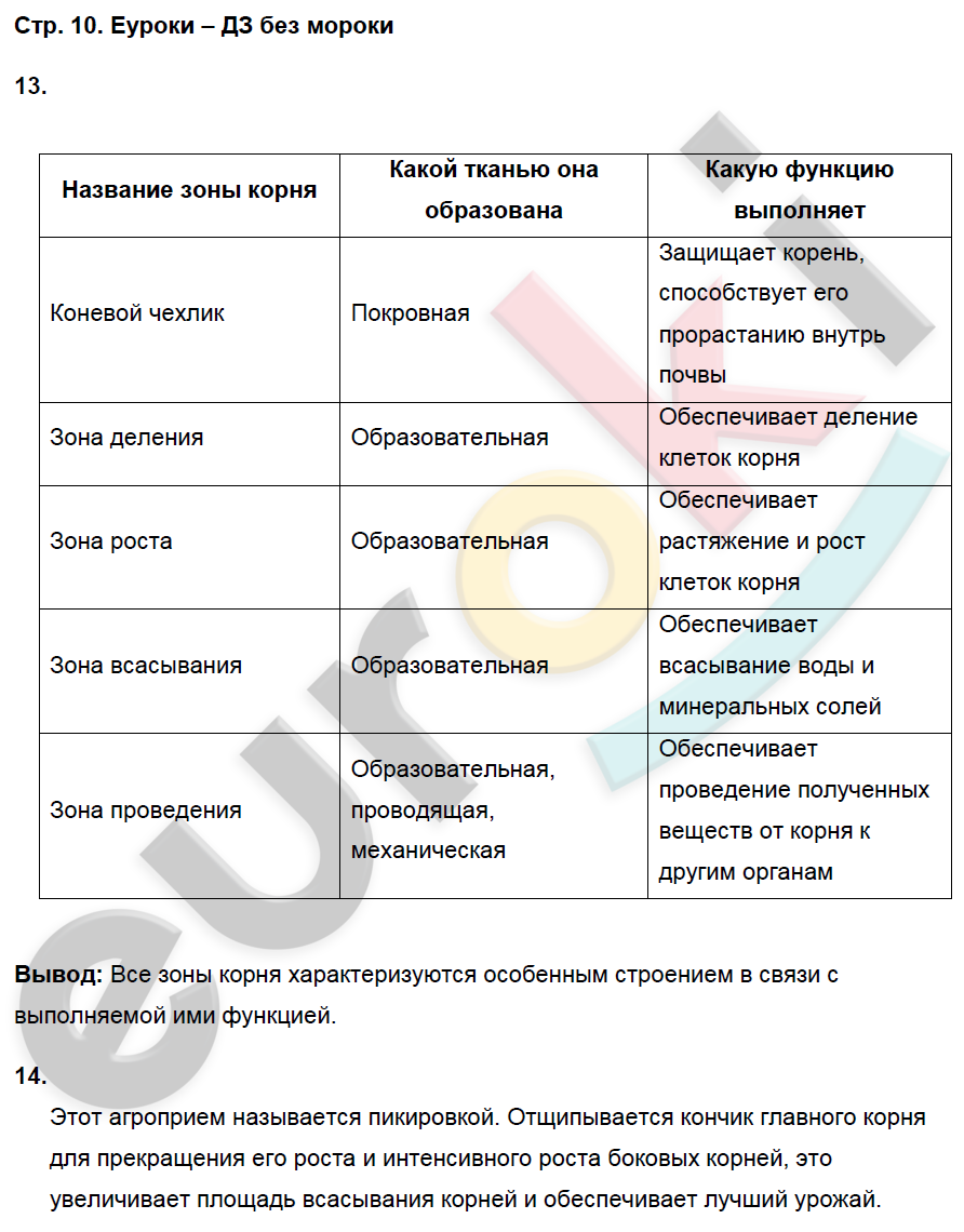 Гдз решебник рабочая тетрадь биология 5 класс линия жизни пасечник