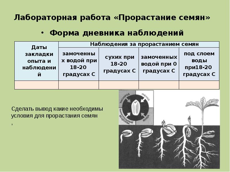 Гдз по биологии 5‐6 класс  пасечник