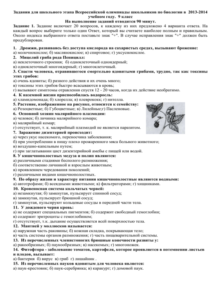 Подготовка к олимпиаде
по биологии 7 класс | биология  | современный урок