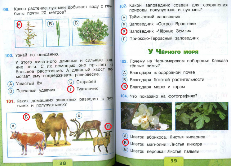 Решебник к учебному пособию: окружающий мир 4 класс плешаков, крючкова - проверочные работы