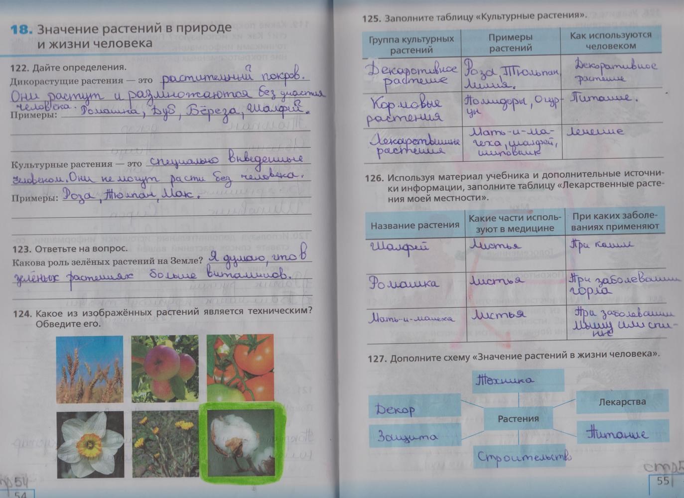 Гдз по биологии 10 класс
