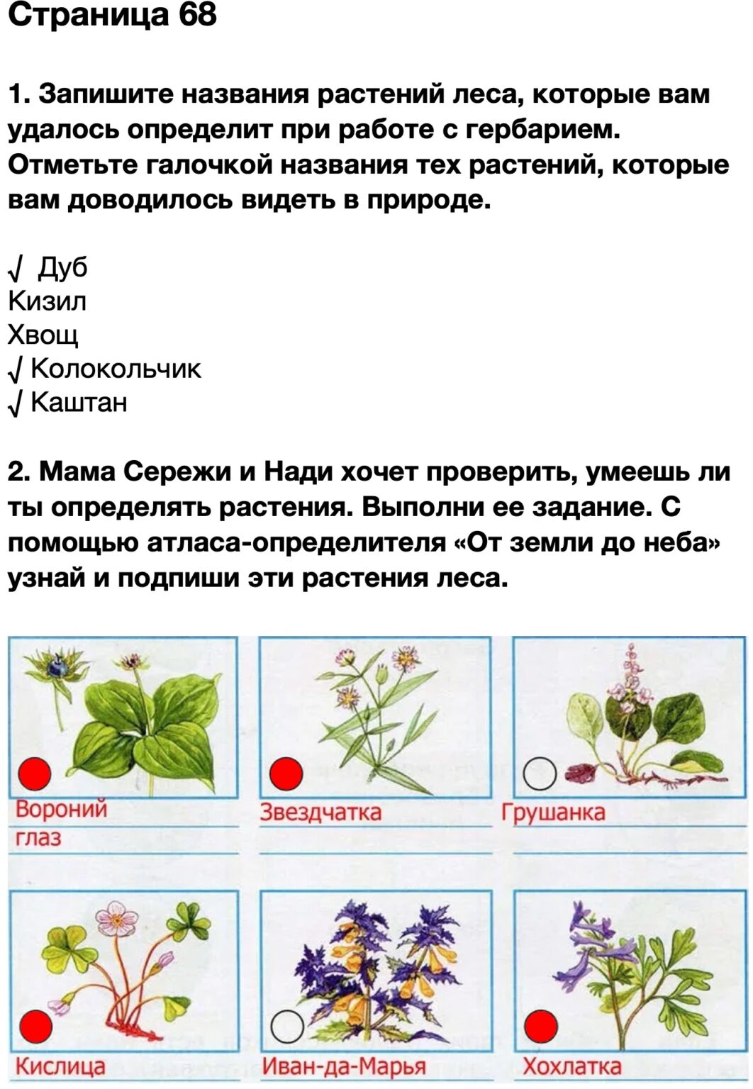 ГДЗ учебник по окружающему миру 4 класс часть 1 Плешаков Подумаем стр 83 Номер 1 Объясните есть ли связь между водорослями в океане и белыми медведями