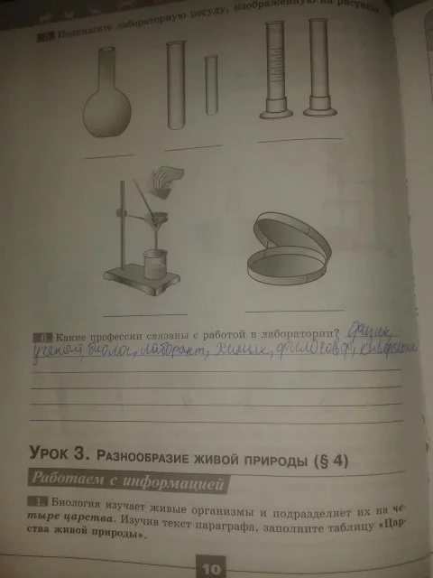 Вопросы к параграфу 4 - гдз по биологии 5 класс учебник пасечник (решебник) - gdzwow