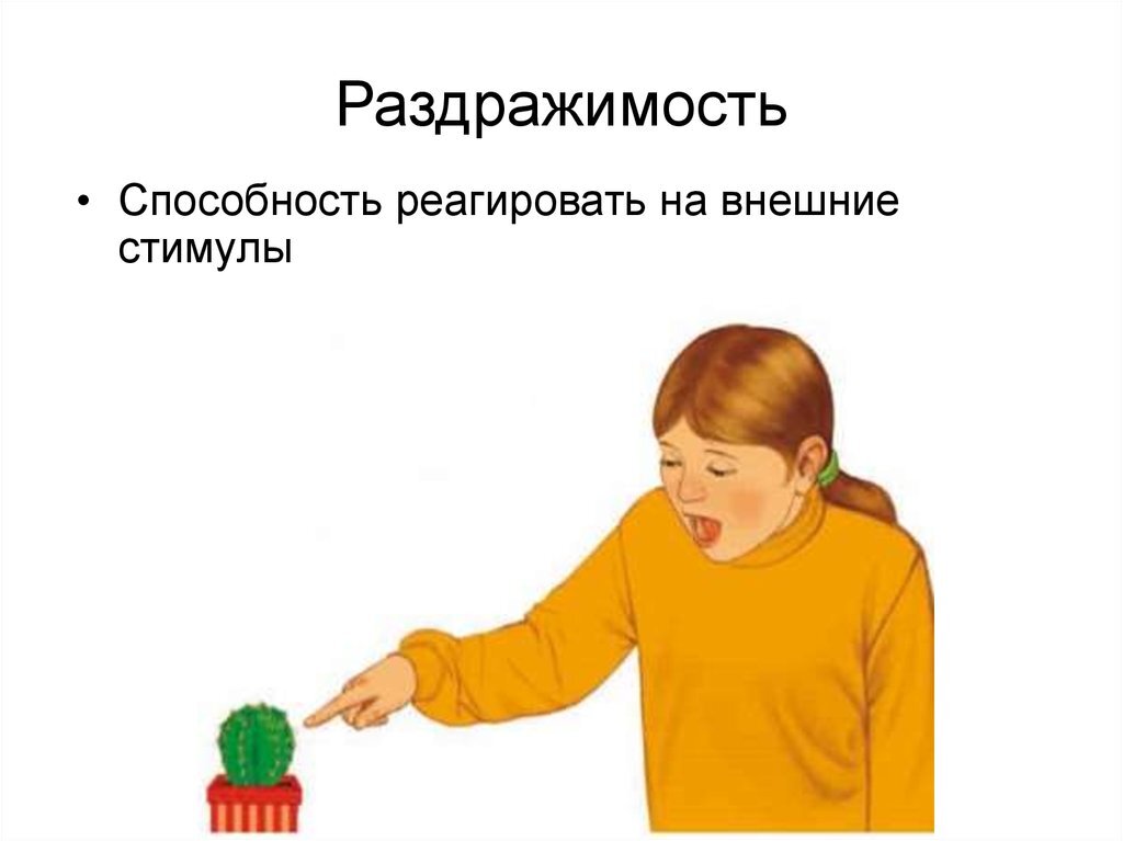Гдз решебник биология 6 класс учебник «дрофа» пасечник.