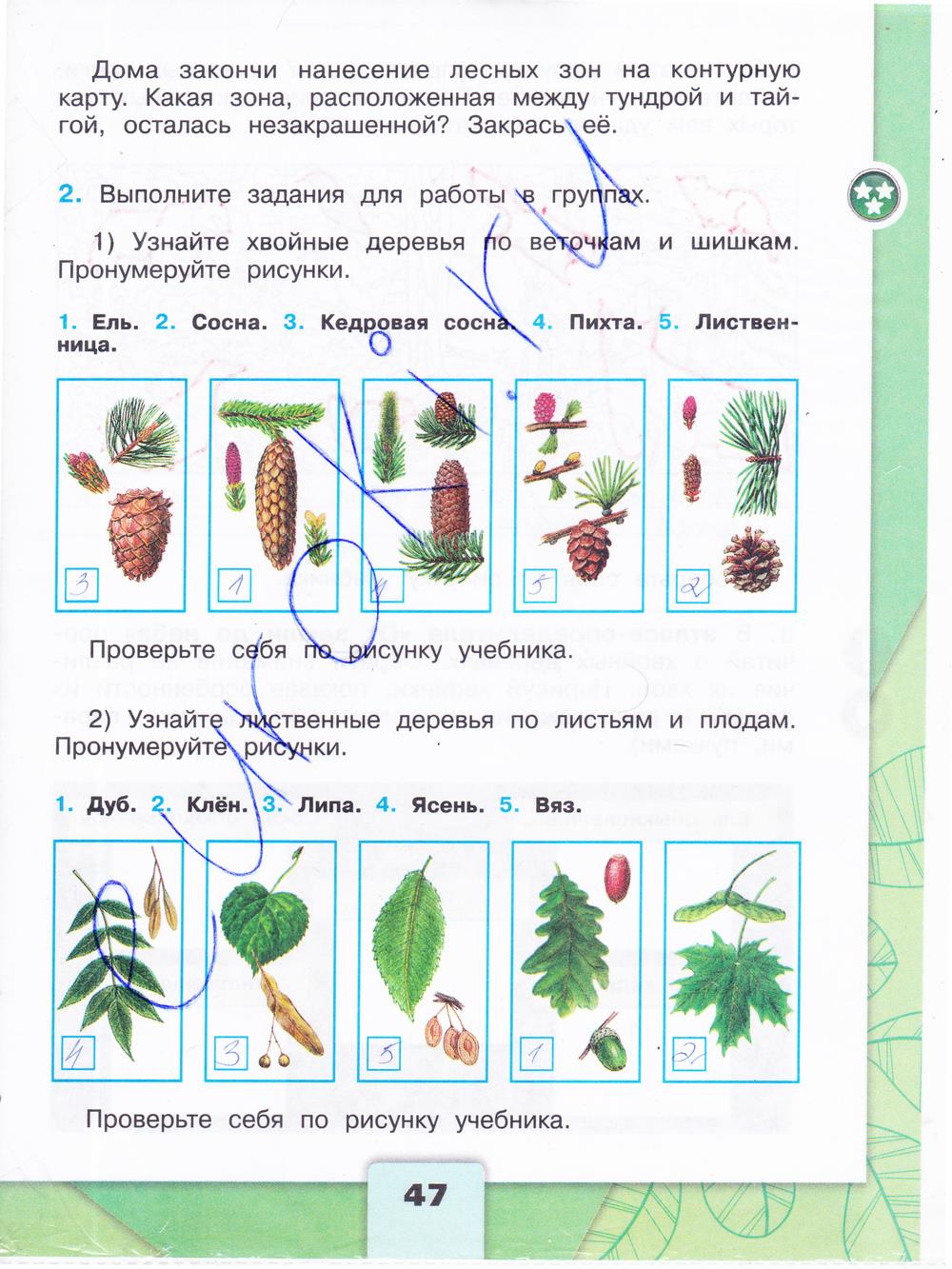 Гдз окружающий мир 4 класс плешаков. ответы к учебнику