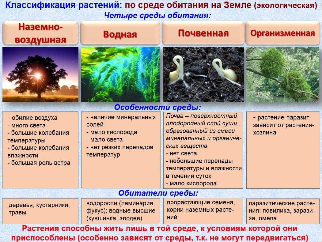 Гдз решебник тесты биология 5 класс сфера жизни сонин