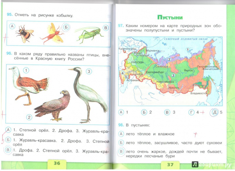 Гдз по окружающему миру 4 класс плешаков, крючкова, проверочные работы просвещение 2023