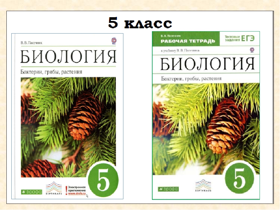 Гдз по биологии 5 класс пасечник, суматохин, учебник просвещение 2023