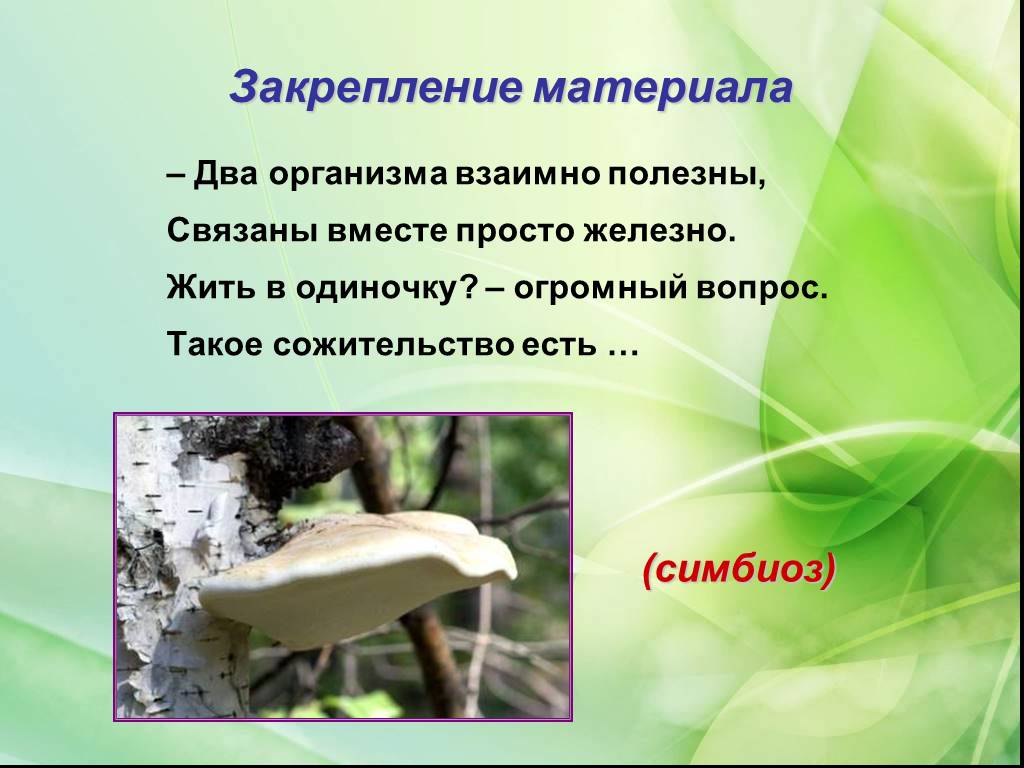 Гдз по биологии 5‐6 класс  пасечник