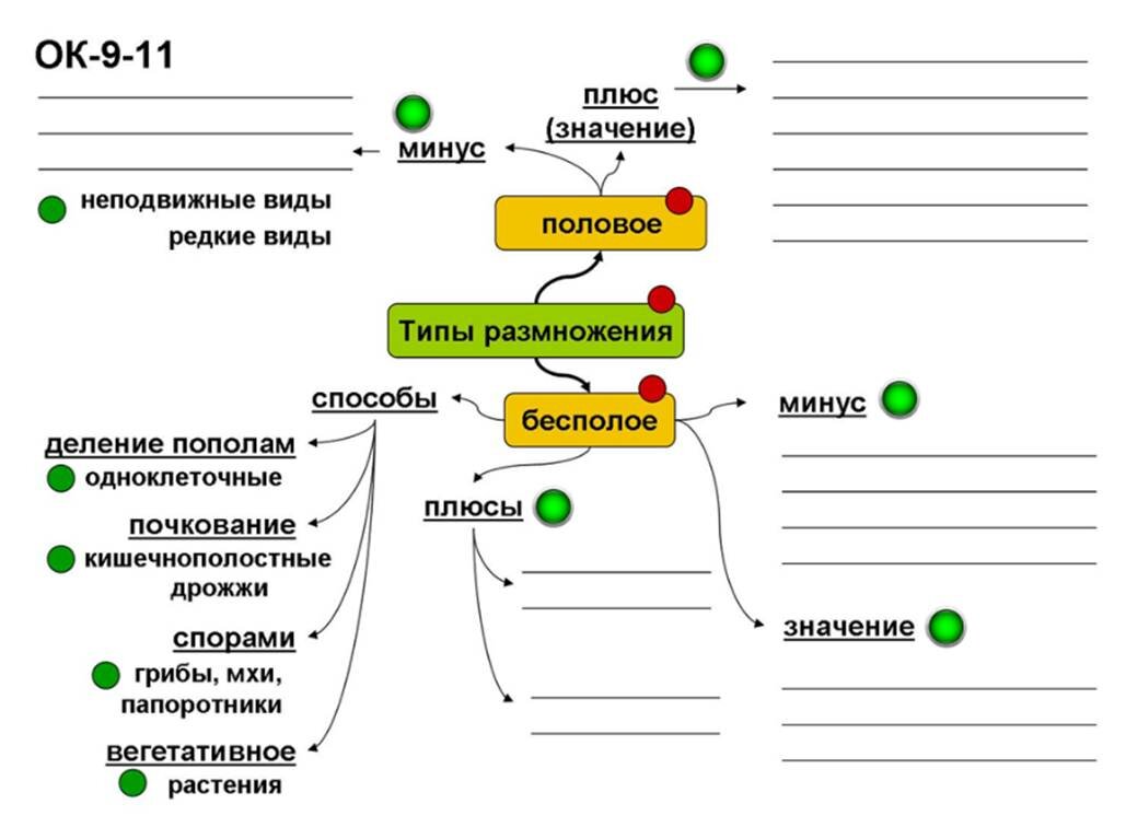 Гдз решебник по биологии 5-6 класс пасечник, суматохин, калинова, гапонюк учебник просвещение