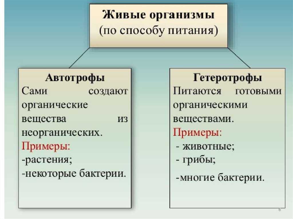 Гдз решебник по биологии 5-6 класс пасечник, суматохин, калинова, гапонюк учебник просвещение
