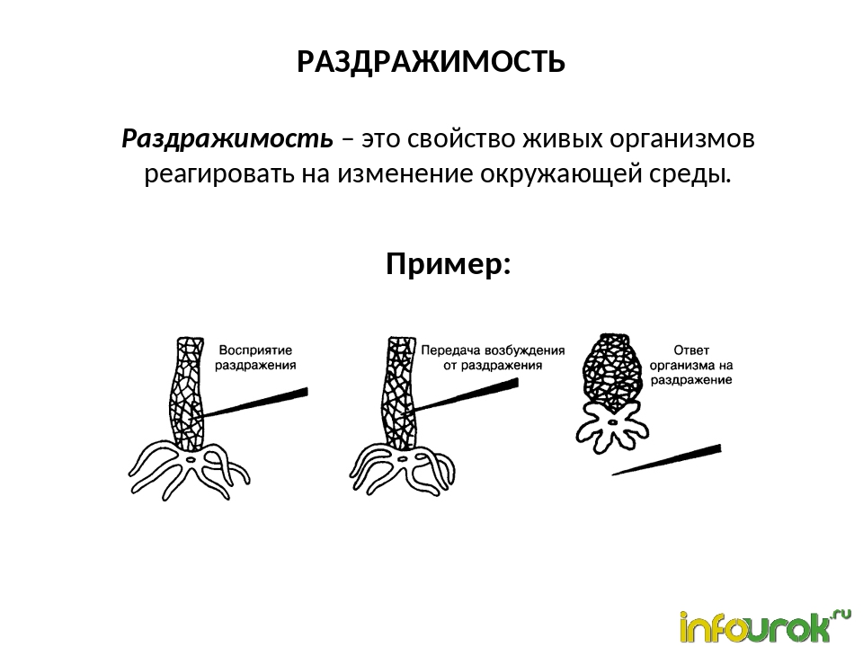 Гдз по биологии 5‐6 класс  пасечник