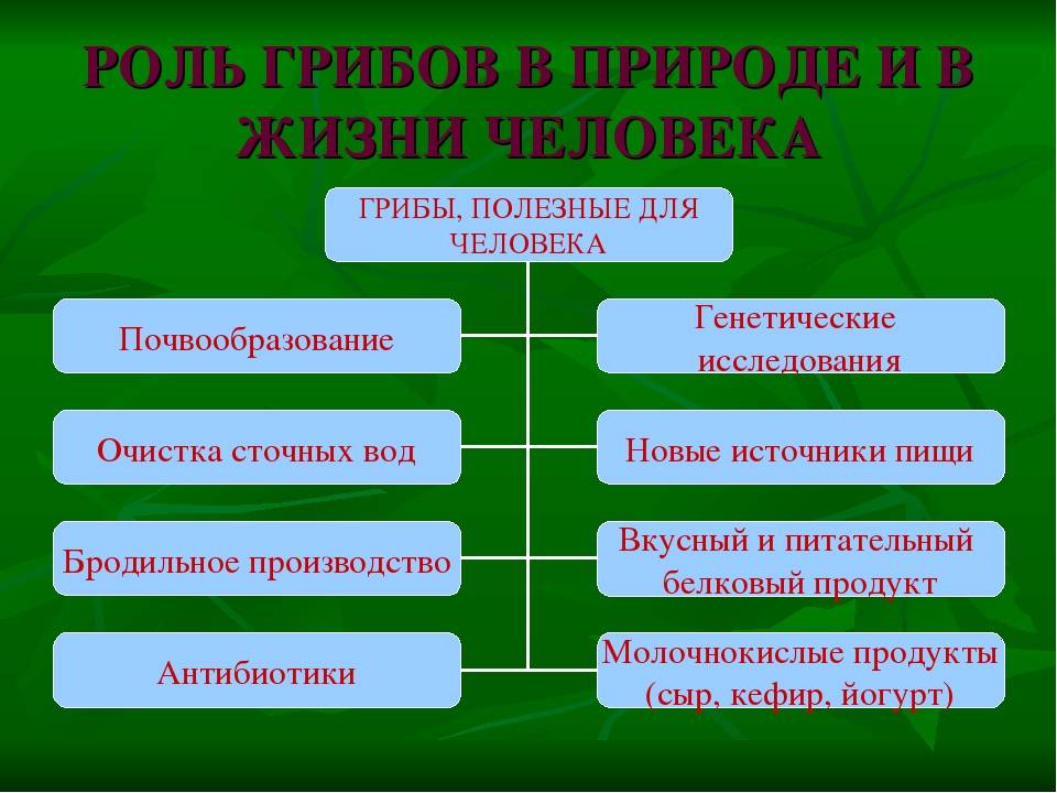 Гдз по биологии 5 класс рабочая тетрадь пасечник  линейный курс