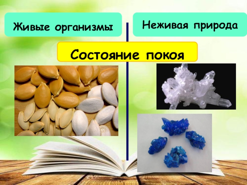 Вопросы к параграфу 3 - гдз по биологии 5 класс учебник пасечник (решебник) - gdzwow
