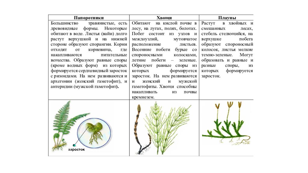 Биология 7 класс