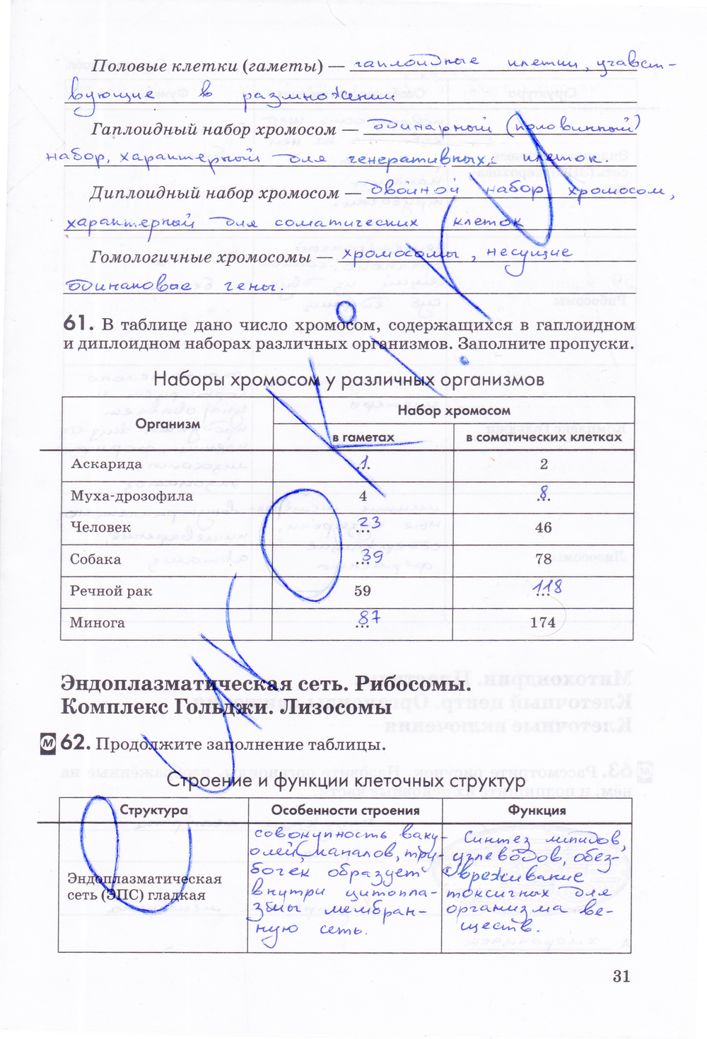 Гдз биология учебник линия жизни за 5-6 класс пасечник, суматохин  просвещение 2020  фгос